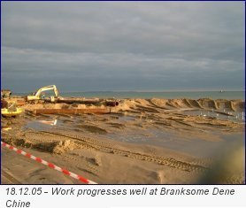 � David Robson, Borough of Poole