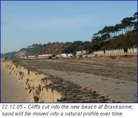 � David Robson, Borough of Poole